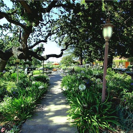Meadowlark Inn Solvang Eksteriør billede