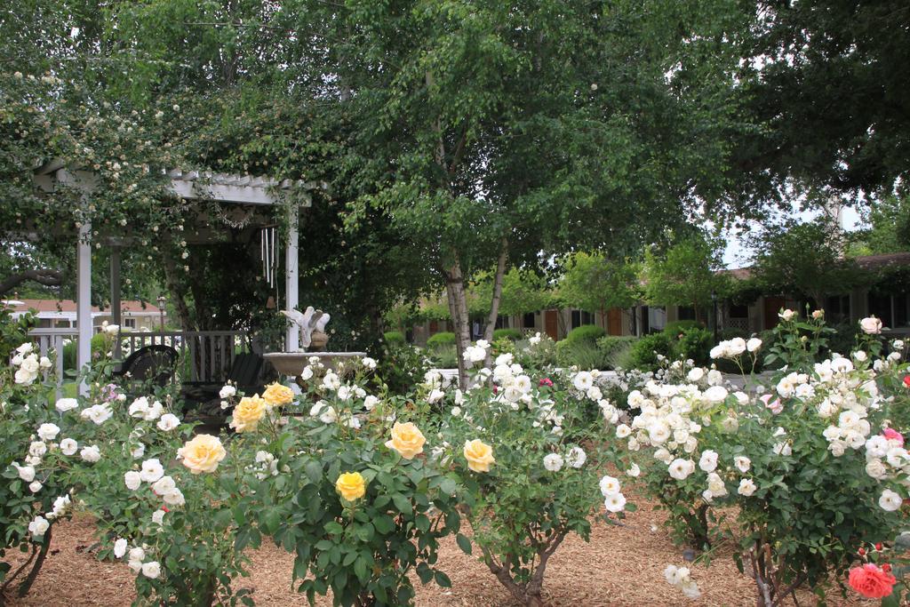 Meadowlark Inn Solvang Eksteriør billede